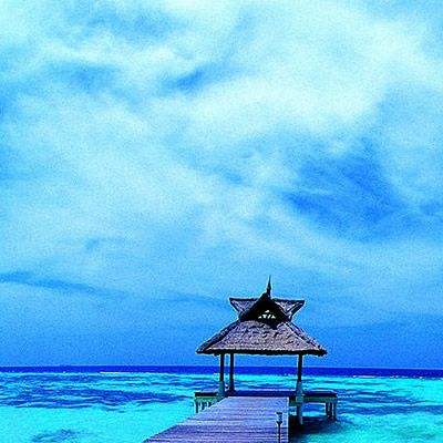 NG南宫28官网登录